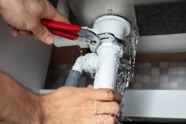 Best Water damage contractors near me  in Vinton, IA