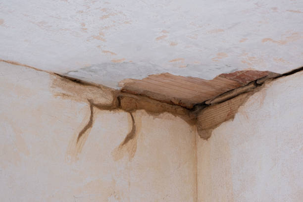 Best Commercial water damage restoration  in Vinton, IA