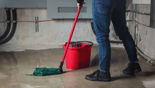 Best Residential water damage restoration  in Vinton, IA