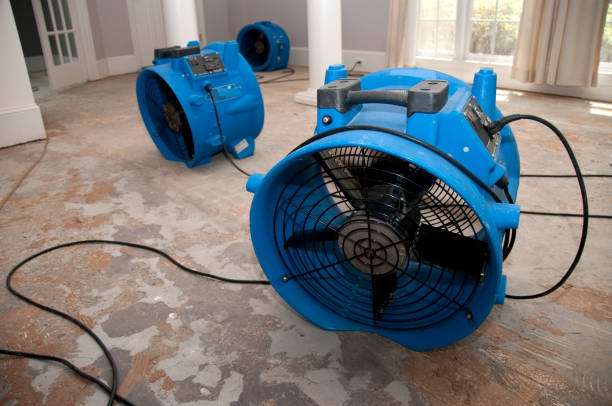 Best Basement water damage restoration  in Vinton, IA