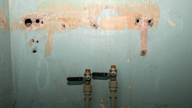 Best 24-hour water damage restoration  in Vinton, IA