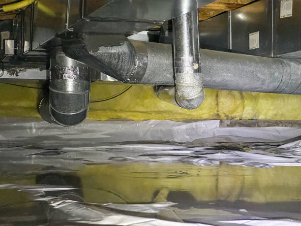 Best Water damage contractors near me  in Vinton, IA