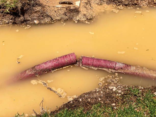 Best Professional water damage repair  in Vinton, IA